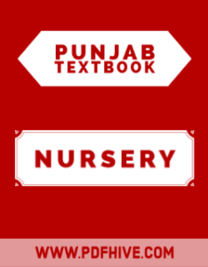 Class Nursery All Punjab Textbooks Free PDF Downloads