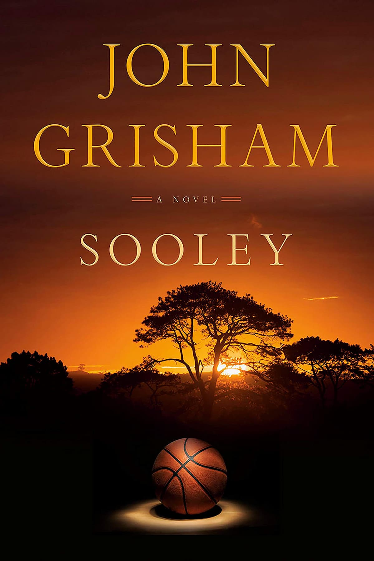 If you’re one who enjoys recharging your energies during the holidays, you’ll find "Sooley – John Grisham" very helpful!
