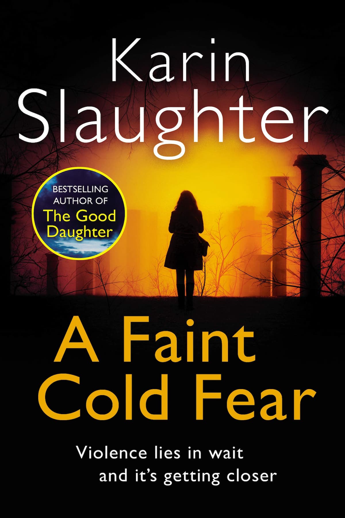A Faint Cold Fear – Karin Slaughter