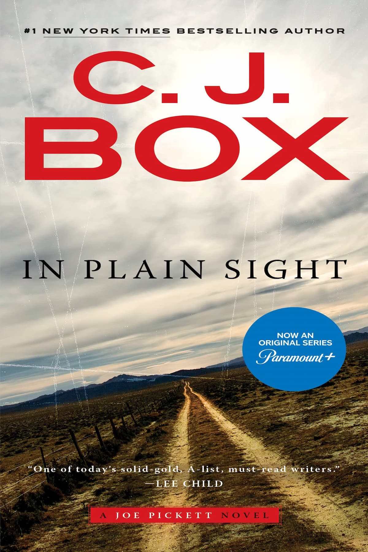 In Plain Sight – CJ Box