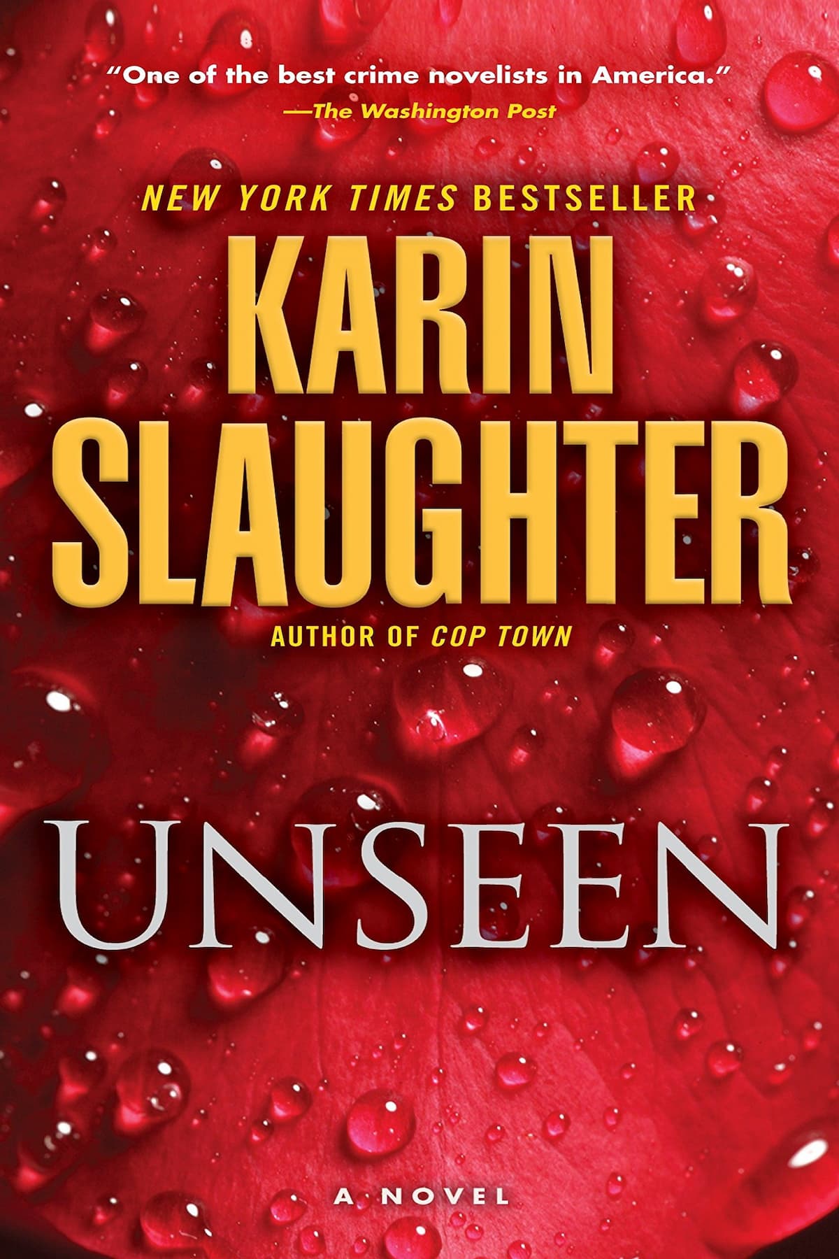 Unseen – Karin Slaughter