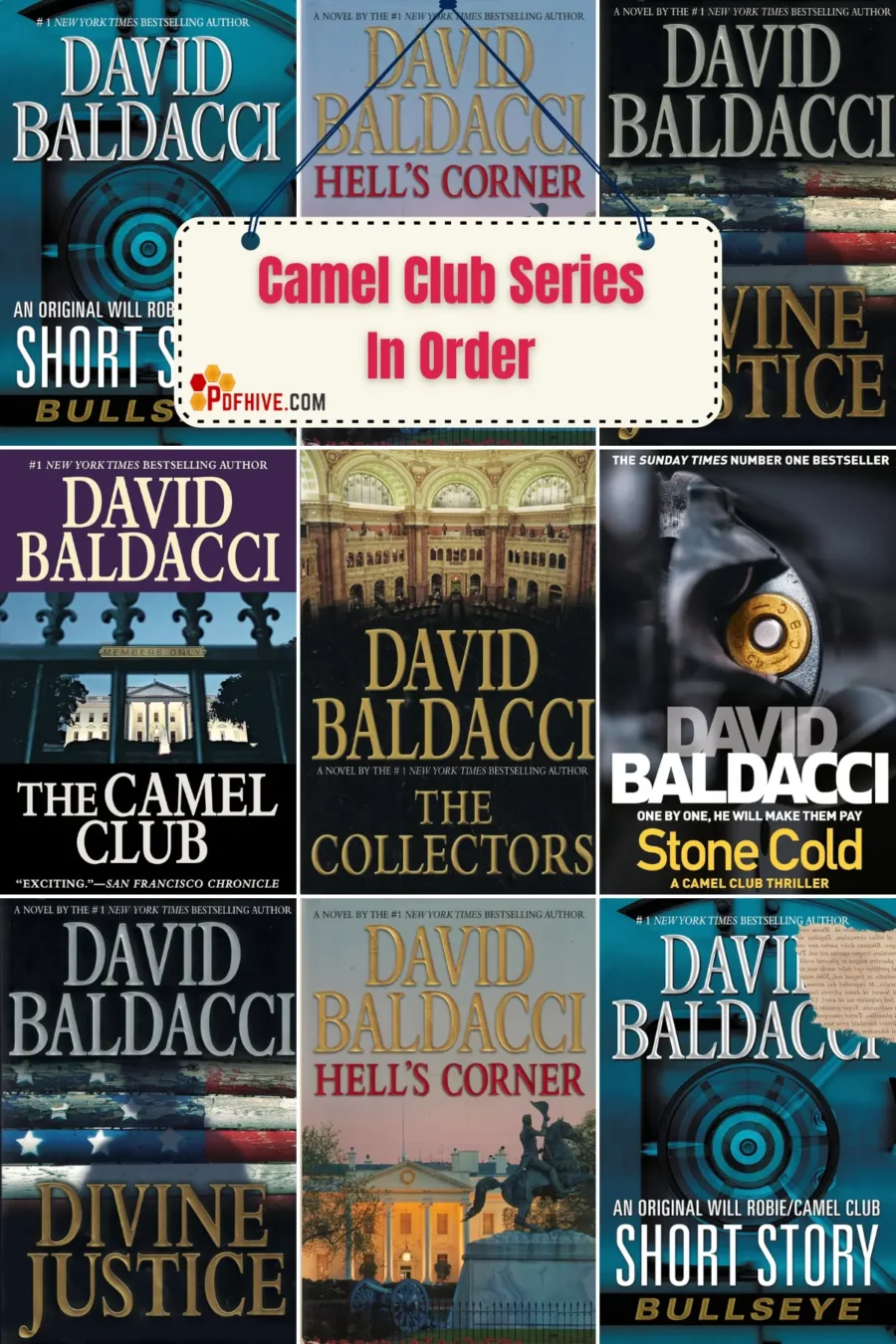 The Camel Club Series In Order follows the thrilling tale from The Camel Club (2005) through Bullseye (2014). My analysis centers on the Camel Club Series which I strongly recommend you read at this moment.