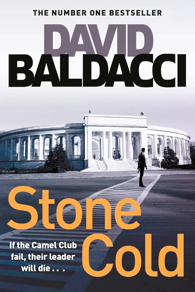 Readers seeking a quick-paced thriller experience while exploring mysteries and active plots should consider Stone Cold (The Camel Club) by David Baldacci.